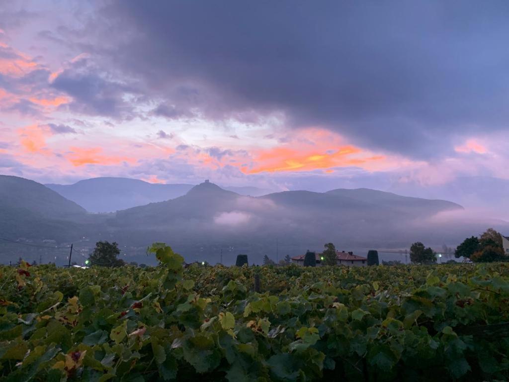 Leuchtenhof กัลดาโร ภายนอก รูปภาพ